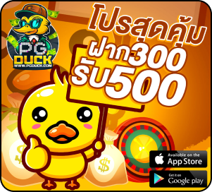 duck_การ์ดโปร04